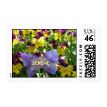 Serene pansy stamp