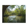 serene postcard