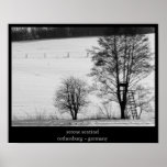 serene sentinel posters