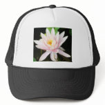 Serene Water Lilly hats