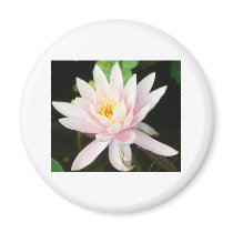 Serene Water Lilly Fridge Magnet