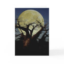 Serengeti cards