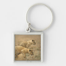 Serengeti National Park, Tanzania 2 Keychains