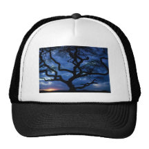Serengeti National Park, Tanzania Trucker Hats