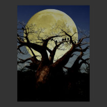 Serengeti posters by dduhaime55 Serengeti posters