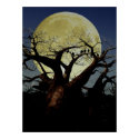 Serengeti posters