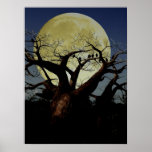 Serengeti Poster