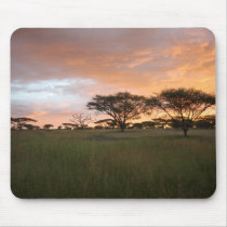 Serengeti Sunset mousepads