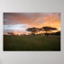 Serengeti Sunset Print