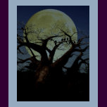 Serengeti
