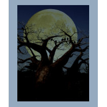 Serengeti t-shirts