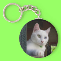 Serenity #1 Keychain keychains