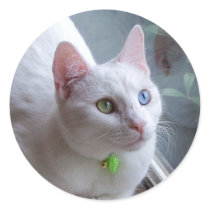 Serenity #2 Sticker by odd_eyed Serenity #2 Sticker