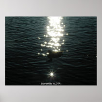 Serenity A.D.K.a.young Posters
