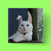 Serenity as Bunny button buttons