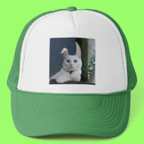 Serenity as Bunny hat