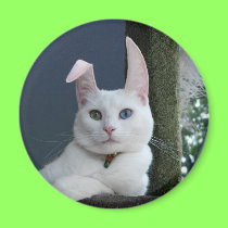 Serenity as Bunny magnet