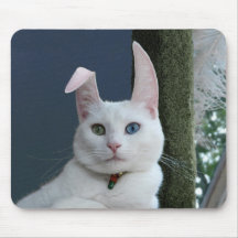 Serenity as Bunny mousepad