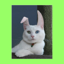 Serenity as Bunny postcard