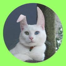 Serenity as Bunny sticker
