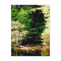 Serenity at the Zoo postcards
