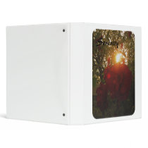 Serenity binders by eloradaphne Serenity binders
