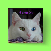 Serenity Button buttons