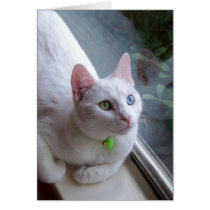 Serenity by Window card by odd_eyed Serenity by Window card
