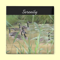 Serenity Canada Geese Inspirational Nature Magnet magnets