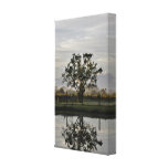 Serenity Canvas Print
