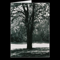 Serenity Card cards