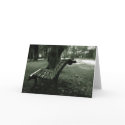 Serenity cards