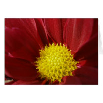 Serenity cards by dannamarie72 Serenity cards