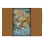 Serenity Card