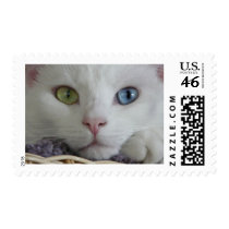 Serenity close-up stamp by odd_eyed Serenity close-up stamp