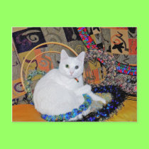 Serenity encircled Postcard postcards