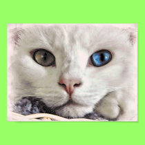 Serenity eyes #2 poster posters
