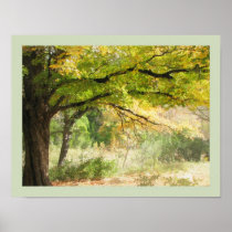 Serenity, Fine Art Print or Poster