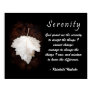Serenity Inspirational Poster