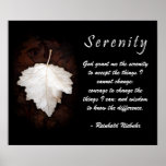 Serenity Inspirational Poster
