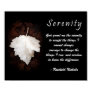 Serenity Inspirational Poster