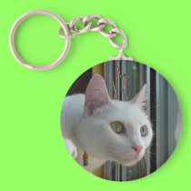 Serenity interested keychain keychains