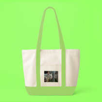 Serenity interested tote bags
