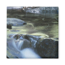 Serenity Magnet by forbes1954 Serenity Magnet