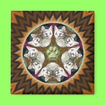 Serenity Mandala magnet magnets