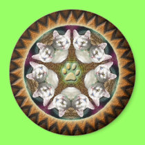 Serenity Mandala magnet magnets