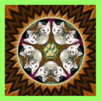 Serenity Mandala poster posters