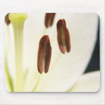 Serenity Mousepad by hdudoit Serenity Mousepad