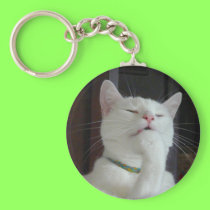 Serenity nail bite keychain keychains