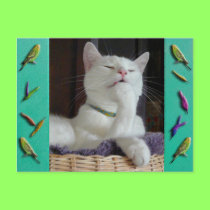 Serenity nail bite postcard postcards